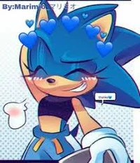 Sonica The Hedgehog
