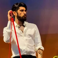 Zayn Malik - 2025