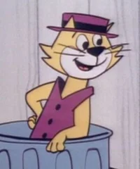 Don gato