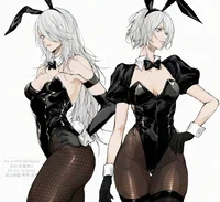 A2 and 2B
