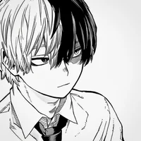 MHA Shoto Todoroki 