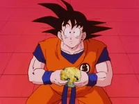 Goku-TFS