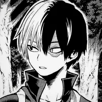 MHA Shoto Todoroki 