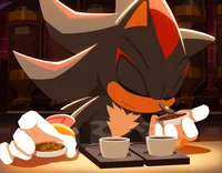 Shadow The Hedgehog
