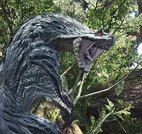 Tobi Kadachi