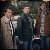 Team Free Will