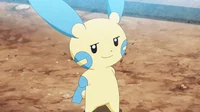 Chupi