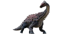 Apatoceratops