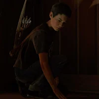 Lev - tlou