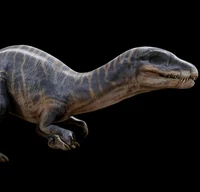 Baryothus