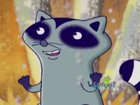 Randolph the Raccoon