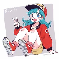 Bulma Briefs