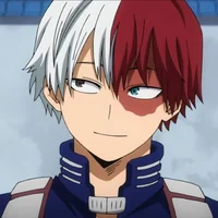 Soto Todoroki