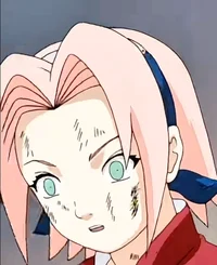 Sakura chunin exams