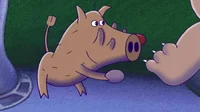 Herbert the Warthog