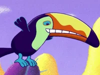 Taco the Toucan