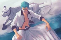 Grimmjow Jaegerjaque