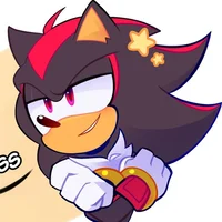 SHADOW T HEDGEHOG 
