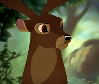 Bambi-s Dad
