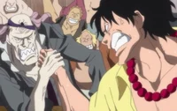 Whitebeard crew