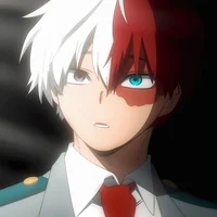 Shoto Todoroki