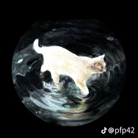 Kitty