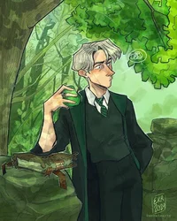Draco