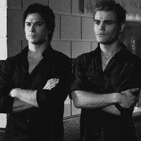 Damon and Stefan 