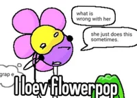 Flowerpop - BFB