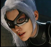 Black Cat and Silver