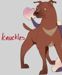 Knuckles the Pitbull