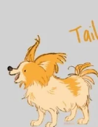 Tails the Papillon