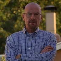 Walter White 