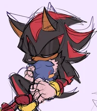 SHADOW T HEDGEHOG 