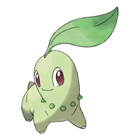 Chikorita