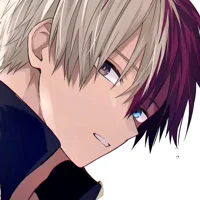 Shoto Todoroki