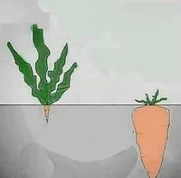 Green slop infection