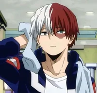 Shoto Todoroki
