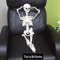 Elite Skeleton