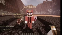 - 11 Lingulini -