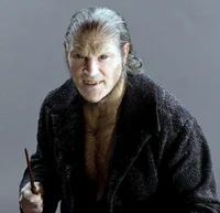 Fenrir Greyback 