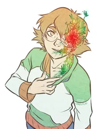 Pidge 