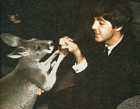 Paul McCartney