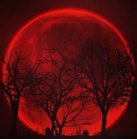 Crimson moon dynasty