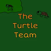 The Turtle Team