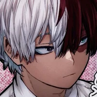 Shoto Todoroki 