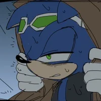 SONIC T HEDGEHOG 