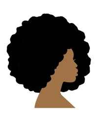 Afro Salon 