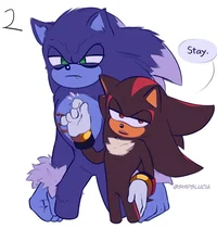 SONIC N SHADOW