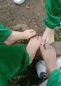 Delfina y sus amigas